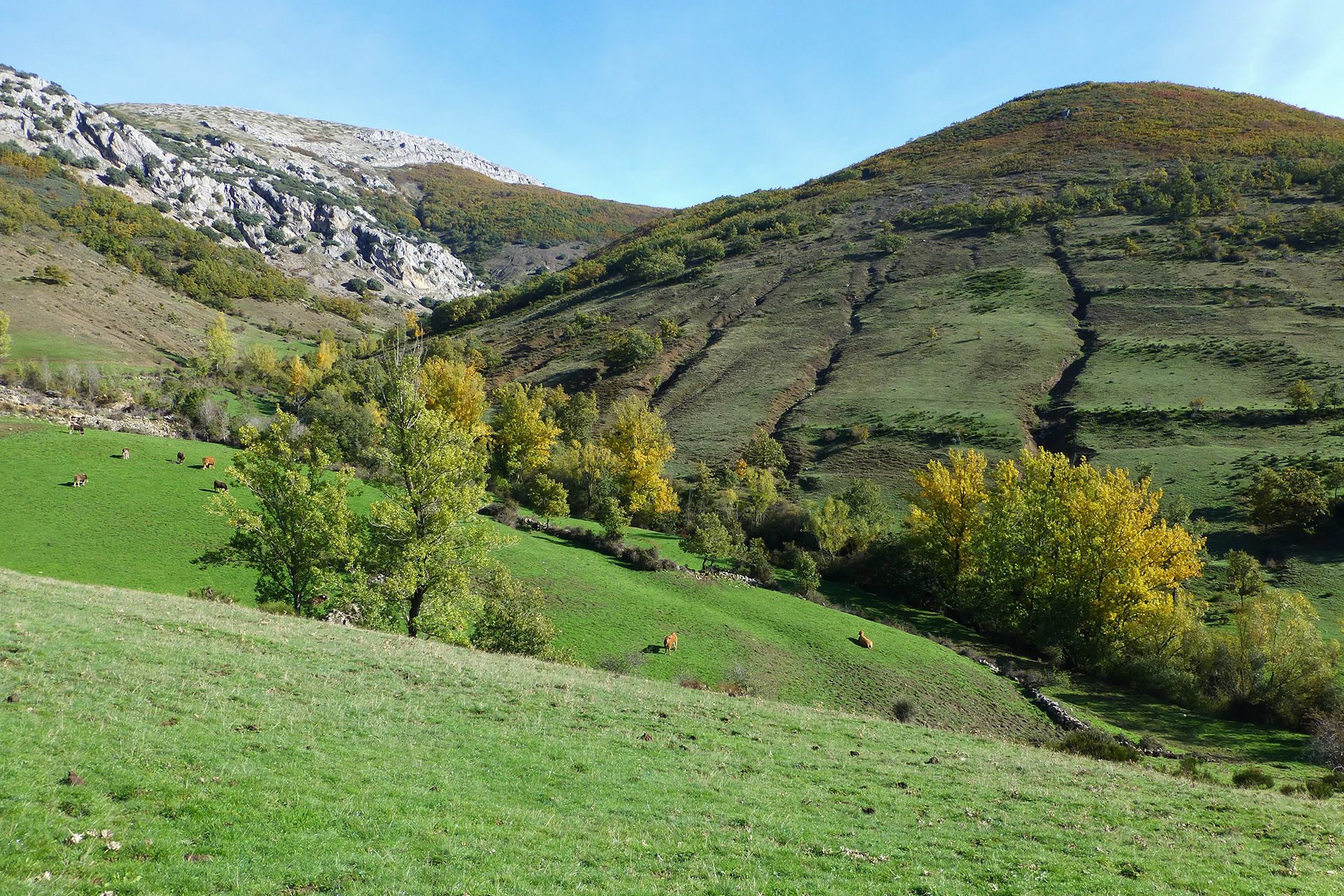 cuevas_campo