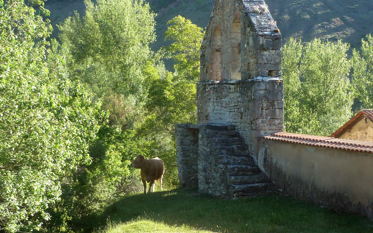 iglesia Cuevas de Viñayo