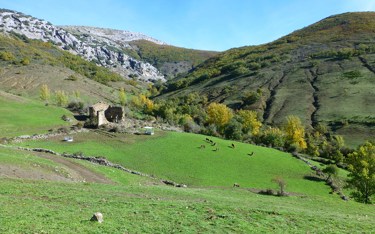 monasterio