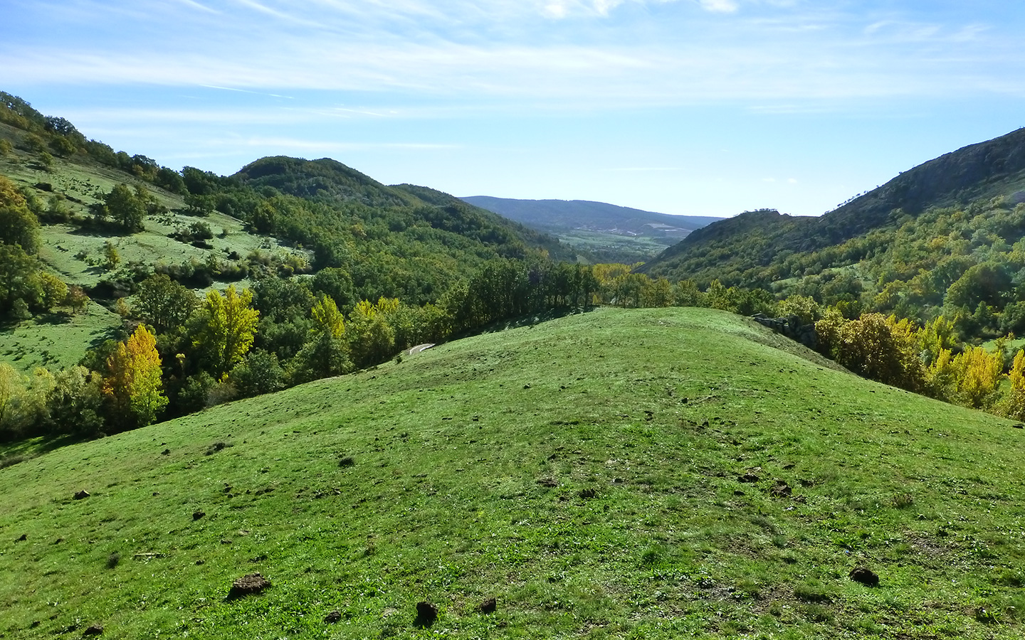 monte